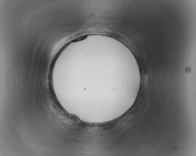 X0000110730340200907101434