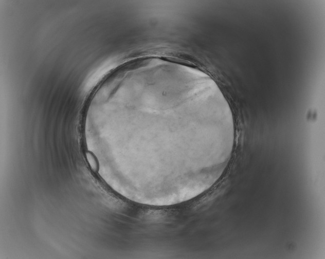 X0000110730341200907101434