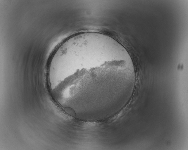 X0000110730342200907101434