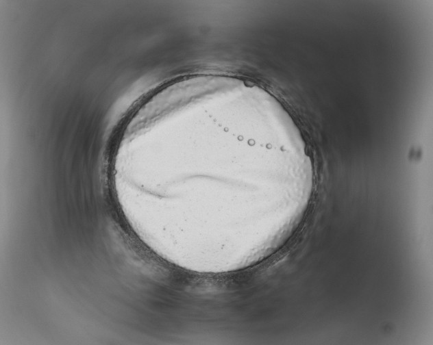 X0000110730343200907101434