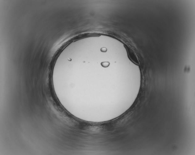 X0000110730344200907101434