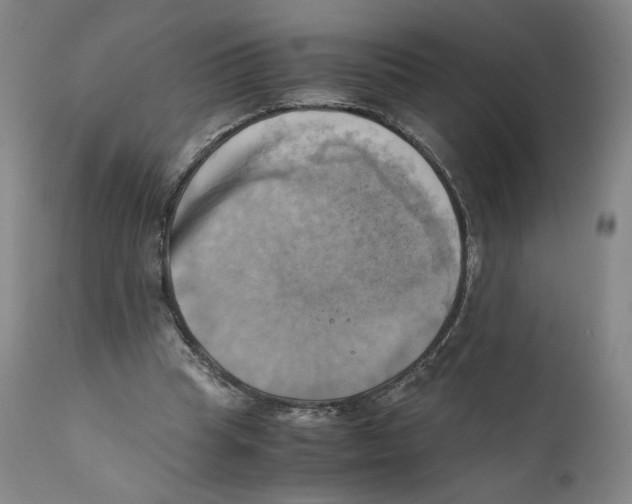 X0000110730345200907101434