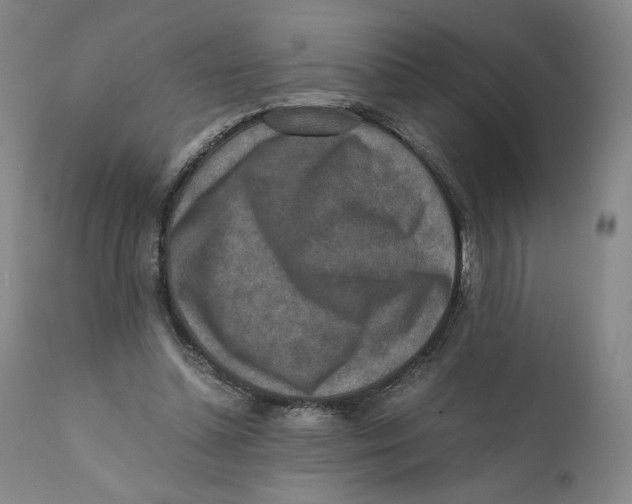 X0000110730348200907101434