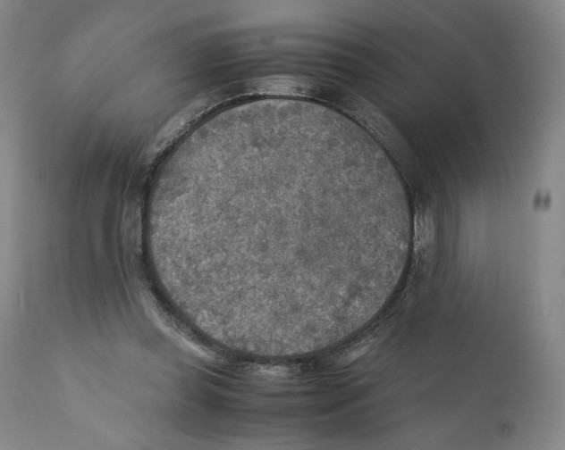 X0000110730349200907101434