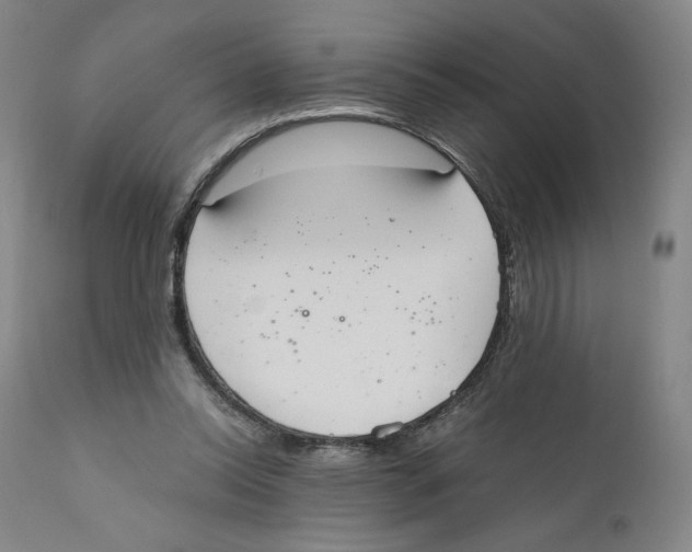 X0000110730350200907101434