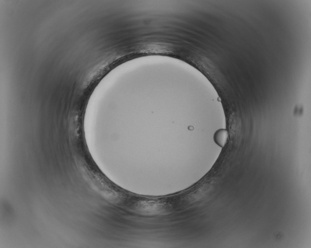 X0000110730351200907101434