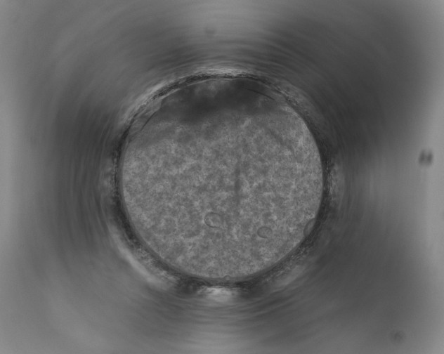 X0000110730352200907101434