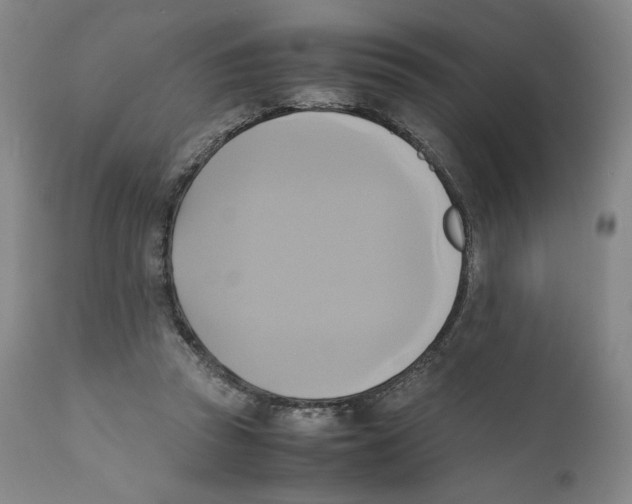 X0000110730353200907101434