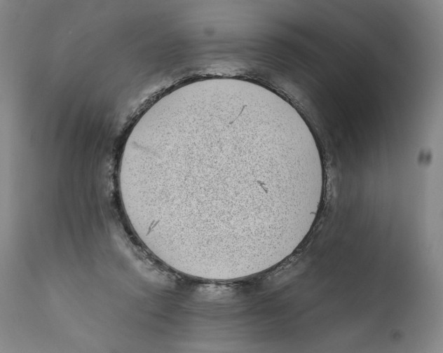 X0000110730354200907101434