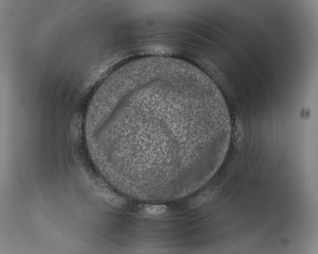 X0000110730355200907101434