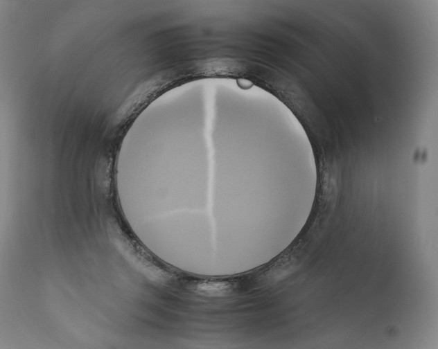 X0000110730357200907101434