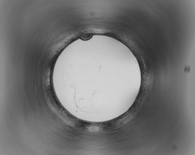 X0000110730358200907101434