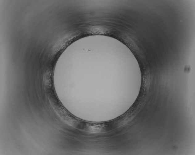X0000110730359200907101434