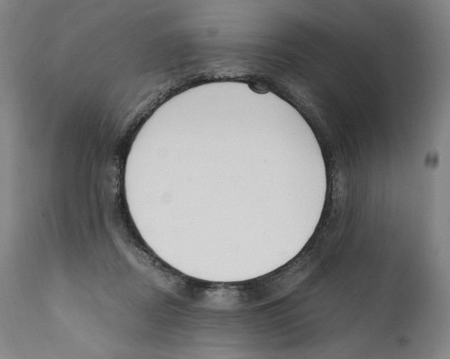 X0000110730362200907101434