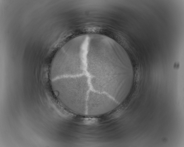X0000110730363200907101434