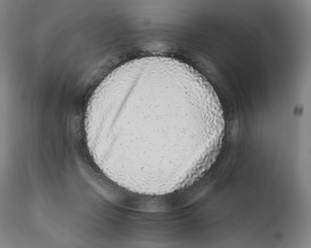 X0000110730365200907101434