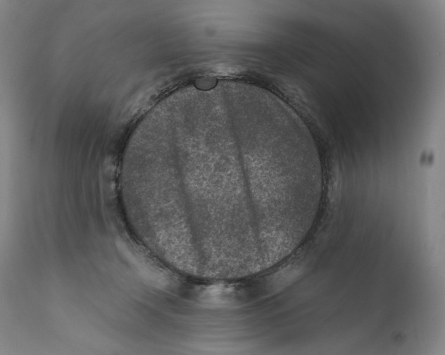 X0000110730366200907101434