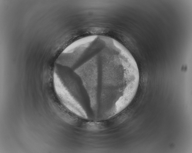 X0000110730367200907101434