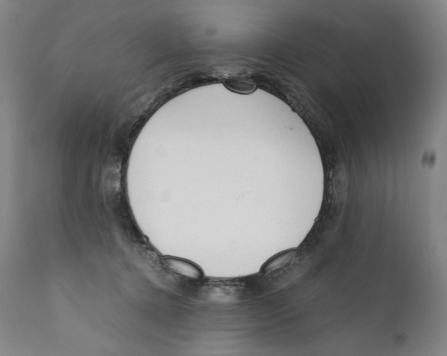 X0000110730368200907101434