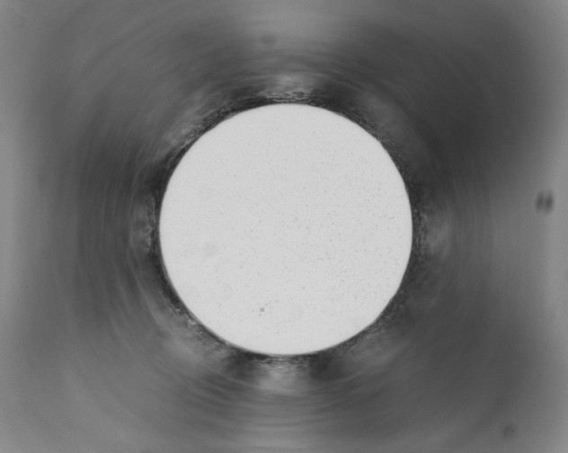 X0000110730370200907101434