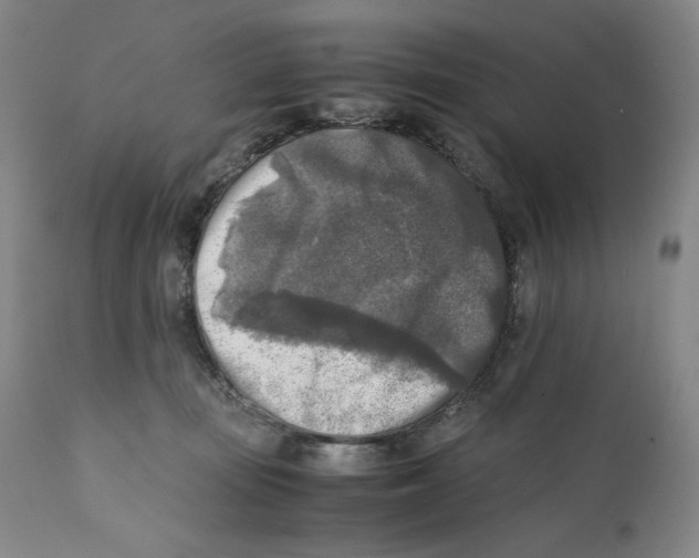 X0000110730371200907101434