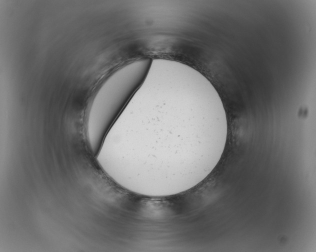X0000110730372200907101434