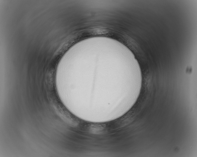 X0000110730373200907101434