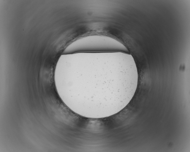 X0000110730376200907101434