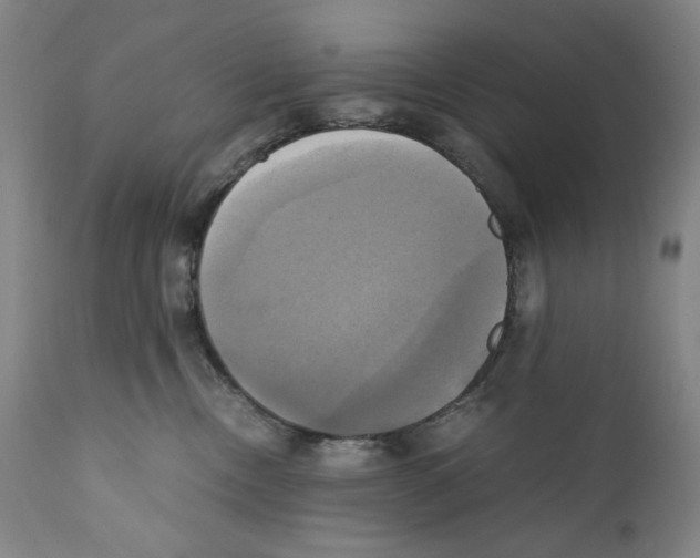 X0000110730378200907101434