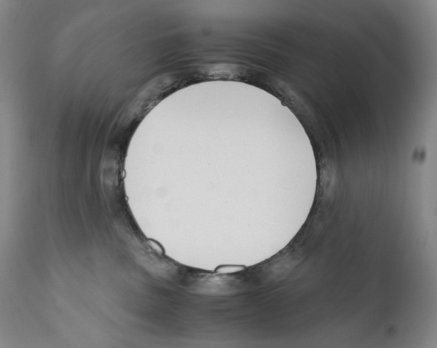 X0000110730379200907101434