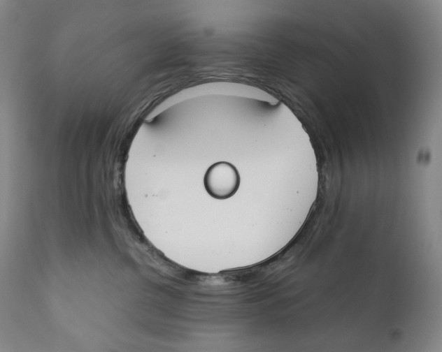 X0000110730380200907101434
