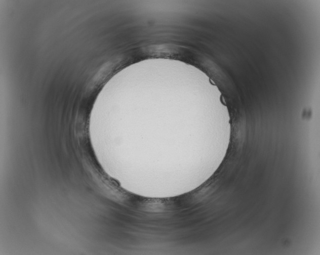 X0000110730381200907101434