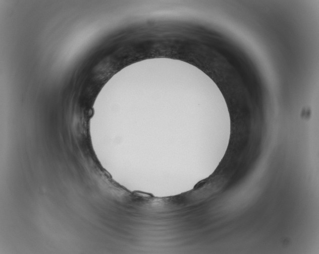 X0000110730382200907101434