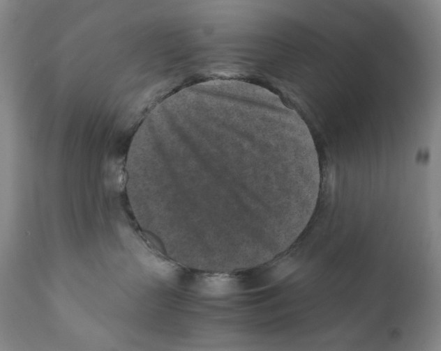 X0000110730383200907101434