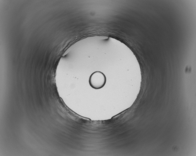 X0000110730384200907101434