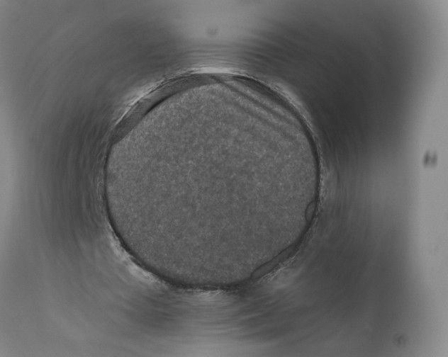 X0000110730385200907101434