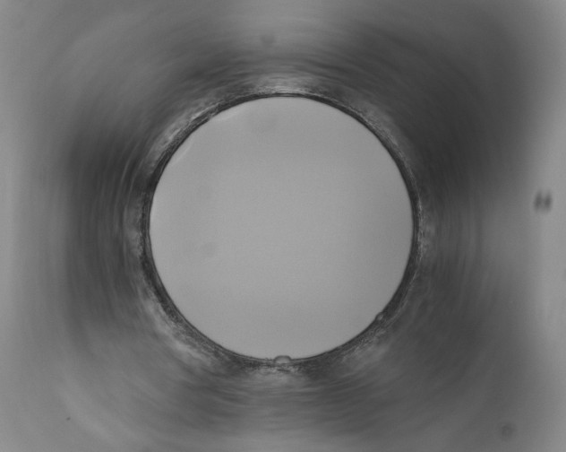 X0000110730386200907101434