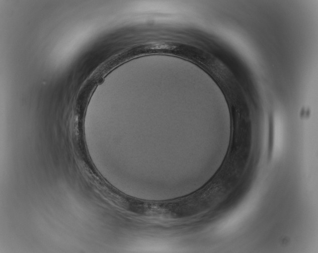 X0000110730387200907101434