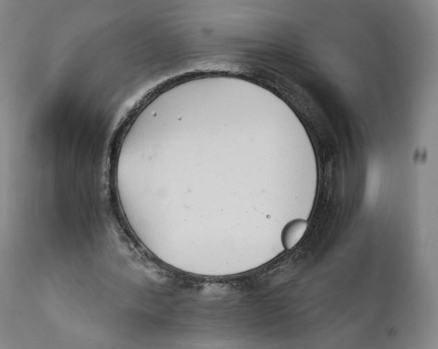 X0000110730388200907101434
