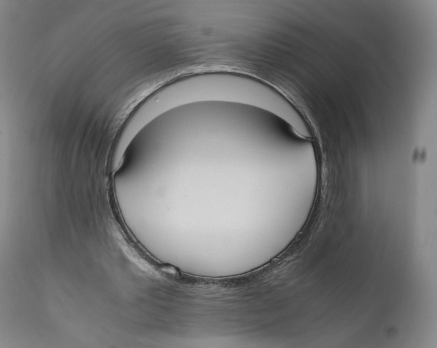 X0000110730389200907101434
