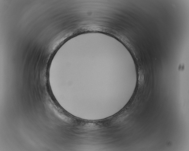 X0000110730390200907101434