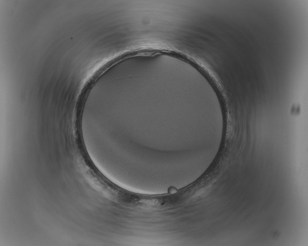 X0000110730391200907101434