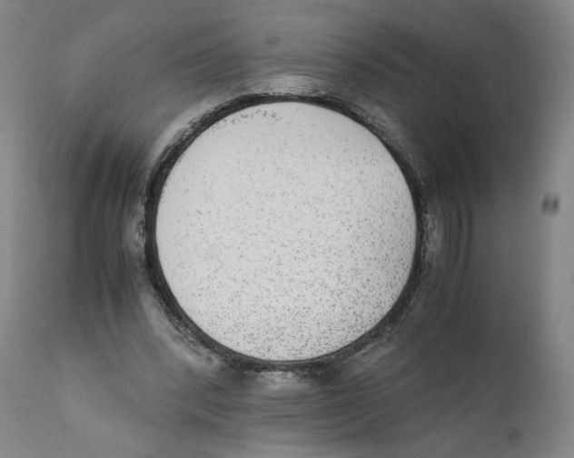 X0000110730392200907101434
