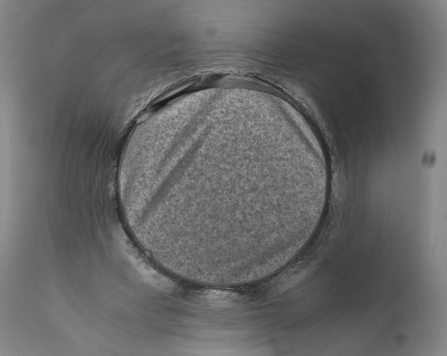X0000110730393200907101434