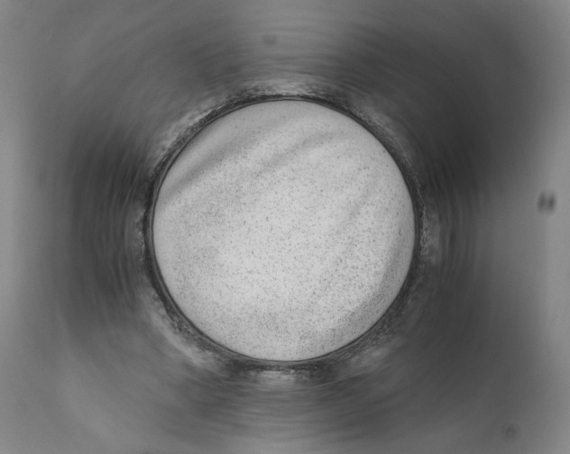 X0000110730394200907101434