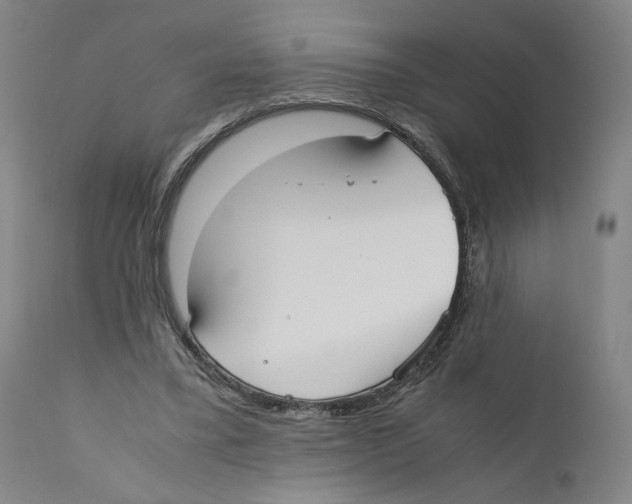 X0000110730395200907101434