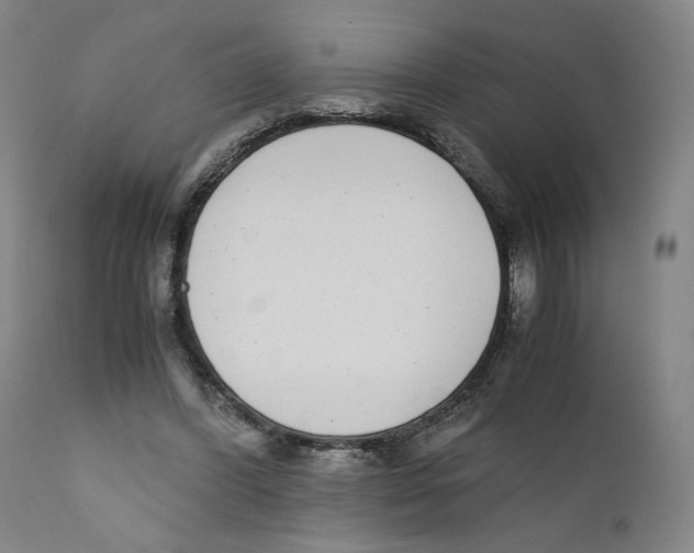 X0000110730396200907101434