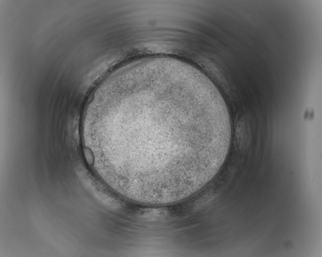 X0000110730398200907101434