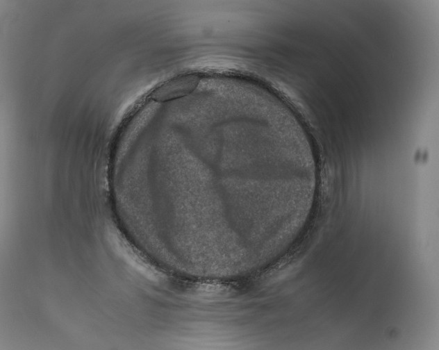 X0000110730399200907101434