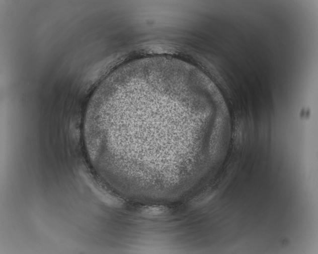 X0000110730402200907101434